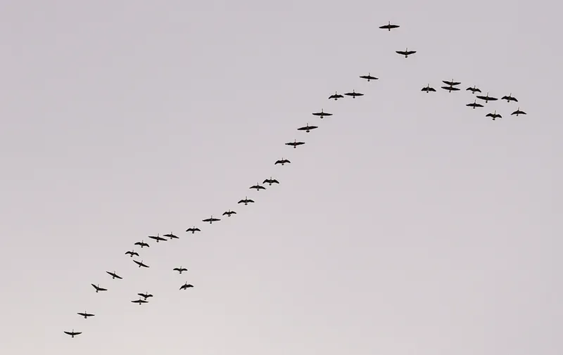 Migrate from CDK Pipelines to CDK Express Pipeline